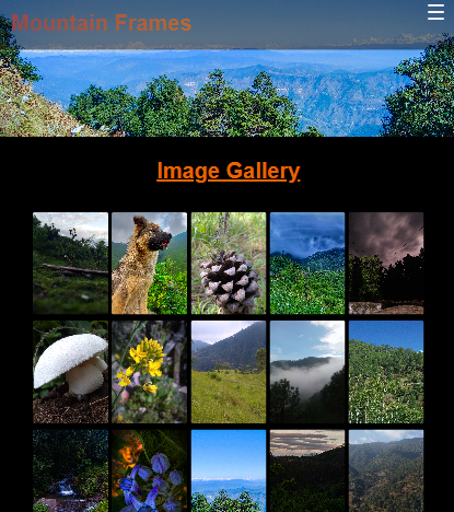 Mountain Frames Website